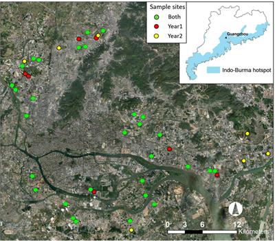 Winter Bird Diversity and Abundance in Small Farmlands in a Megacity of Southern China